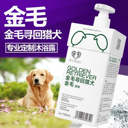 寵愿金毛犬專用沐浴露 守護幼犬健康，從每一次沐浴開始